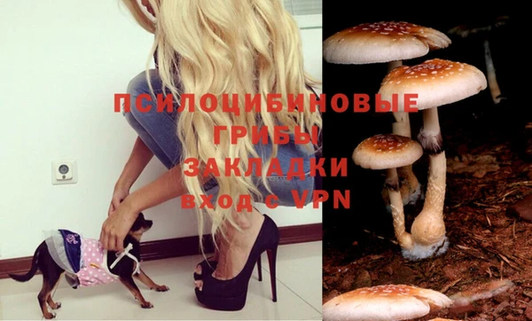 а пвп мука Абинск
